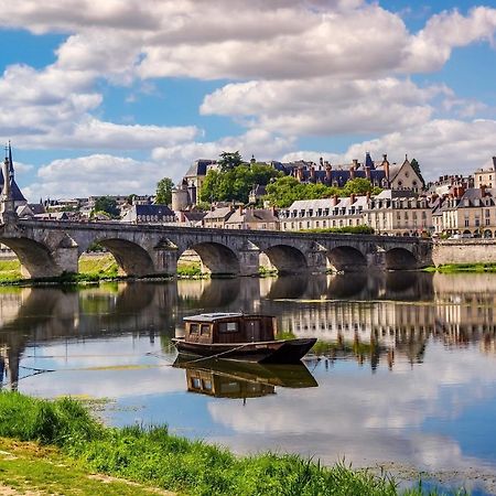ブロワCoeur De Loireアパートメント エクステリア 写真